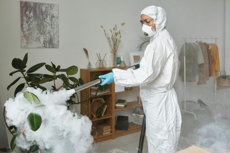 pest control chandigarh