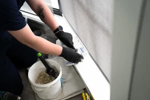pest control