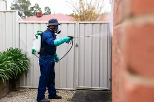 guy doing pest control at home